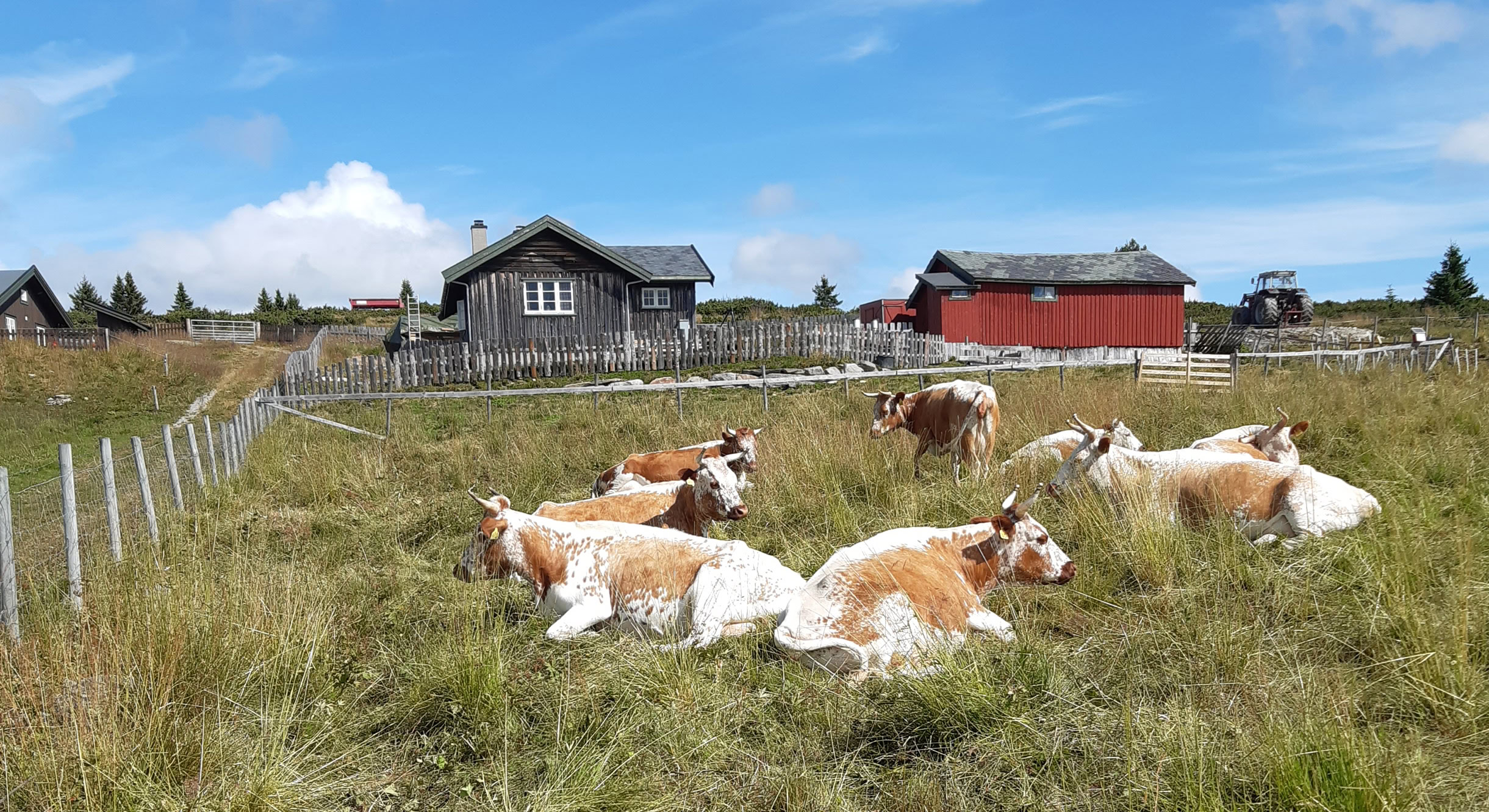 Sommerstølen_Foto_Kjell Trandokken